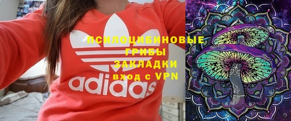 стаф Ростов