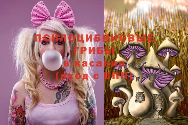 круглые Абаза