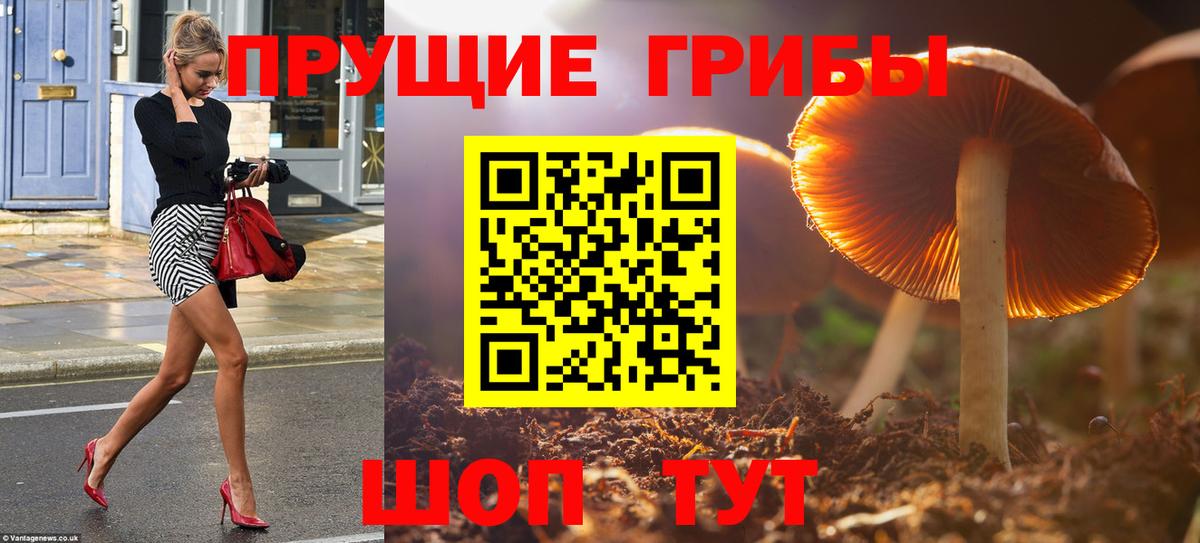 Галлюциногенные грибы Psilocybe  Вход с VPN  Алексин  Галлюциногенные грибы Cubensis 