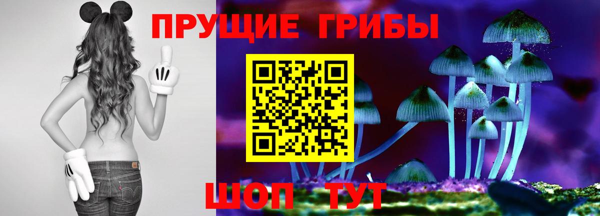 Галлюциногенные грибы Cubensis Алексин